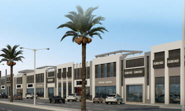 Commercial Pest Control