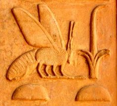 Pest Control and People from Historical Perspective