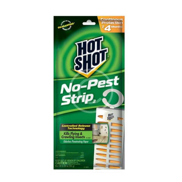 Sticky Traps for Insects