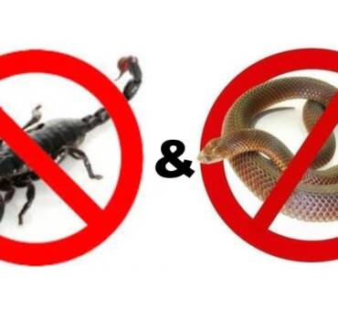 Scorpions and Snakes Control
