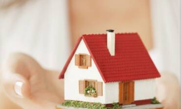 Construction Pest Control